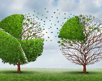 The big-ticket items from the 2019 Federal Budget