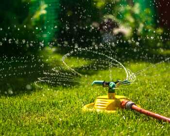 How to get your garden ready for the spring season