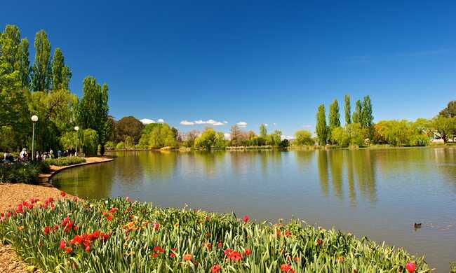 What's on in Canberra this spring